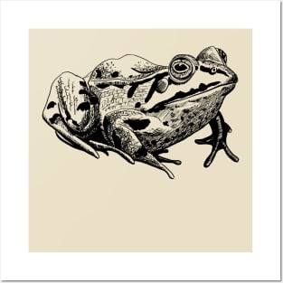 toad Posters and Art